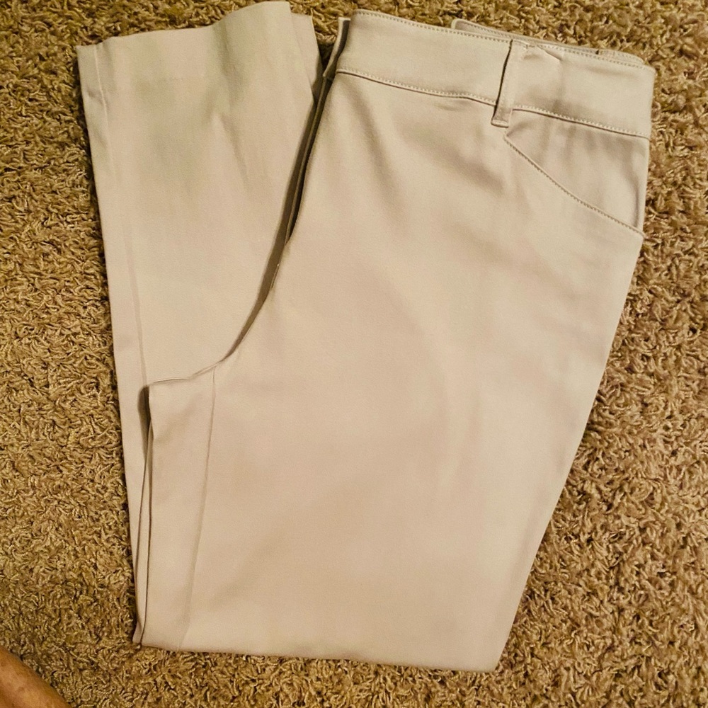 Chico’s Perfect Stretch Slim Leg Ankle Pants